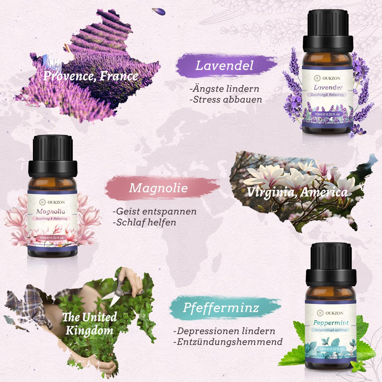 Ätherische Öle Set, 8 x 10 ml Aromatherapie-Duftöl, kleine Geschenke für Frauen – 100 % natürliches, reines Aromaöl für Diffusor, Massage, Ölbrenner, Kerzenherstellung, Geschenk für Weihnachten, Geburtstag – Bild 3