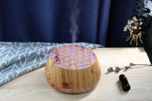 SOUCCESS Aromadiffusor Blume des Le...