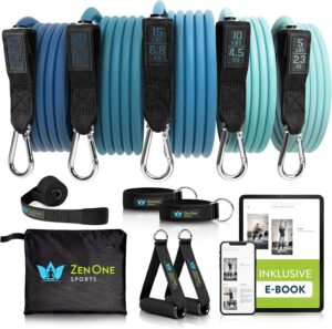 ZenOne Sports® Resistance Bands Se...