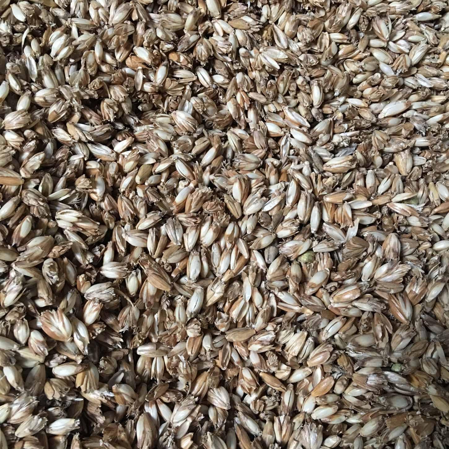 #DoYourYoga Bio-Dinkelspelz zum Füllen und Nachfüllen von Kissen und Nackenrollen, 1 kg bis 30 kg, KBA-Dinkelstreu, ideal für Yoga-Nackenrollen, gereinigt und entstaubt – Bild 4