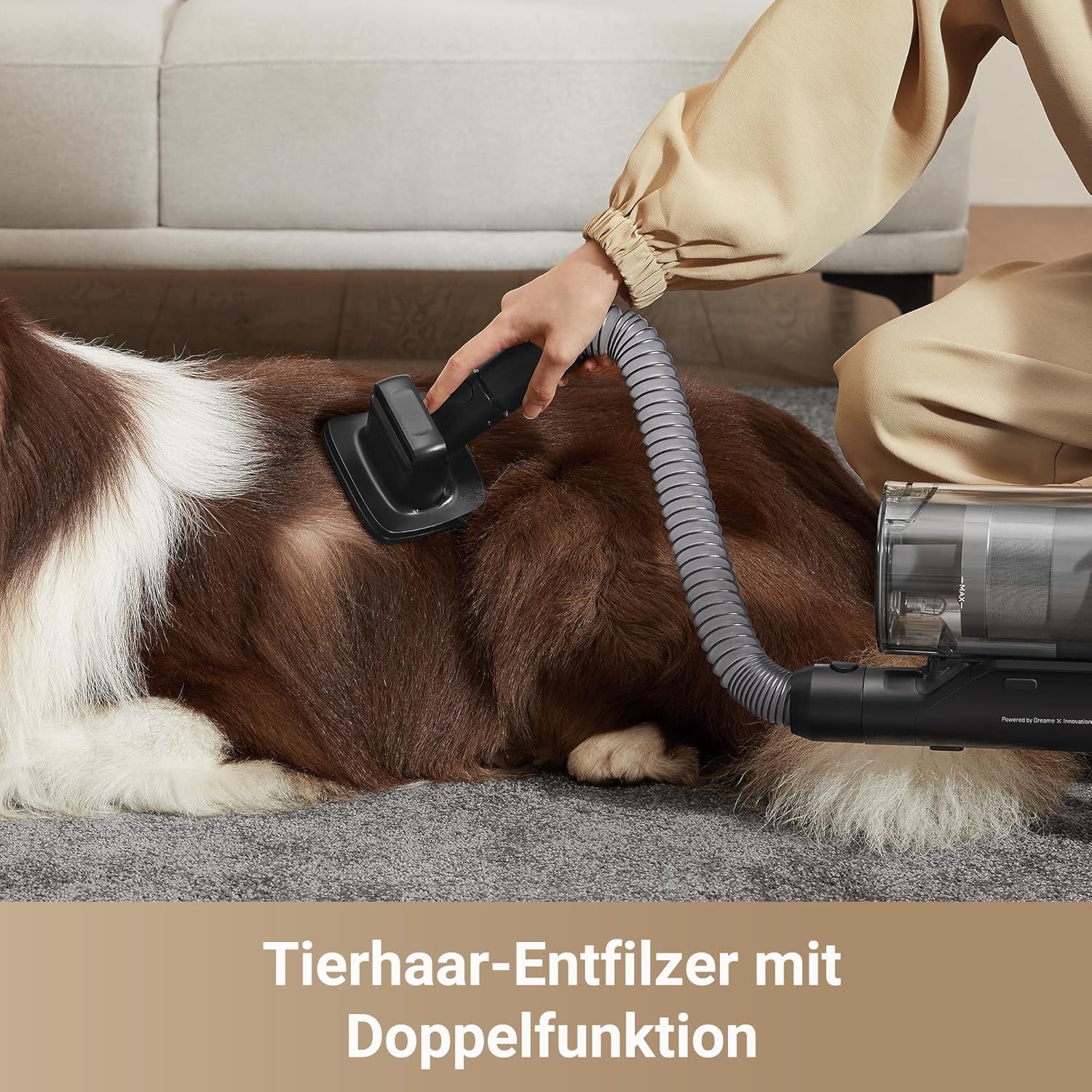 dreame Z30 Akku-Bodenstaubsauger, 28.000 PA/310 AW Saugleistung, 90 Min. maximale Reinigungszeit, Stauberkennungstechnologie, Tierhaarentfernungswerkzeug, Saugleistung für mehrere Oberflächen, Schmutzerkennung – Bild 6