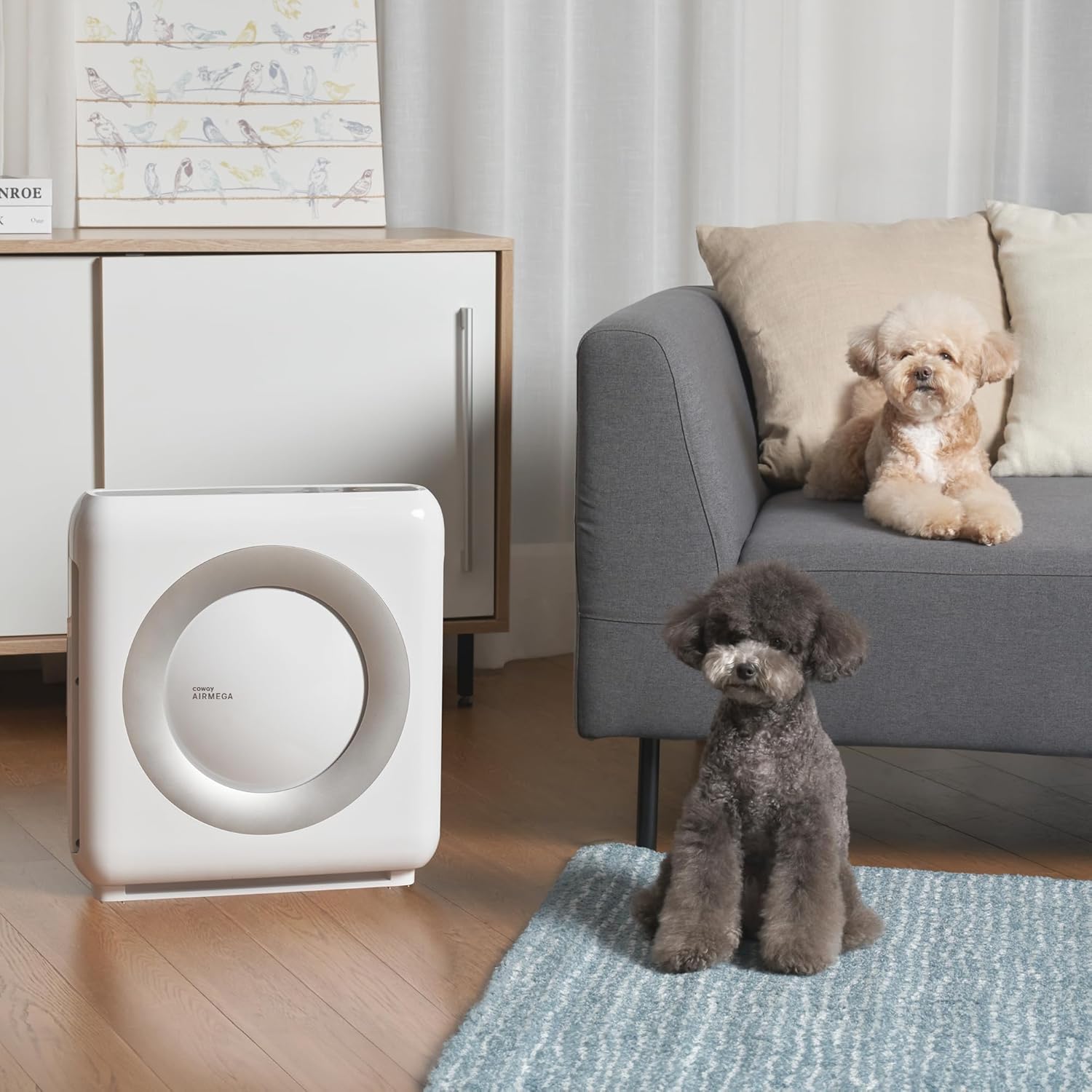 COWAY Luftreiniger für Allergiker, energiesparender Eco-Modus, entfernt 99,999 % der schädlichen Partikel bis 0,01 µm, für Allergiker (ECARF-Siegel), Staubpollen, CADR 421 m³/h, AP-1512hh Mighty (weiß) – Bild 12