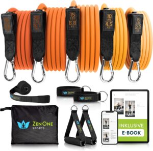 ZenOne Sports® Resistance Bands Se...