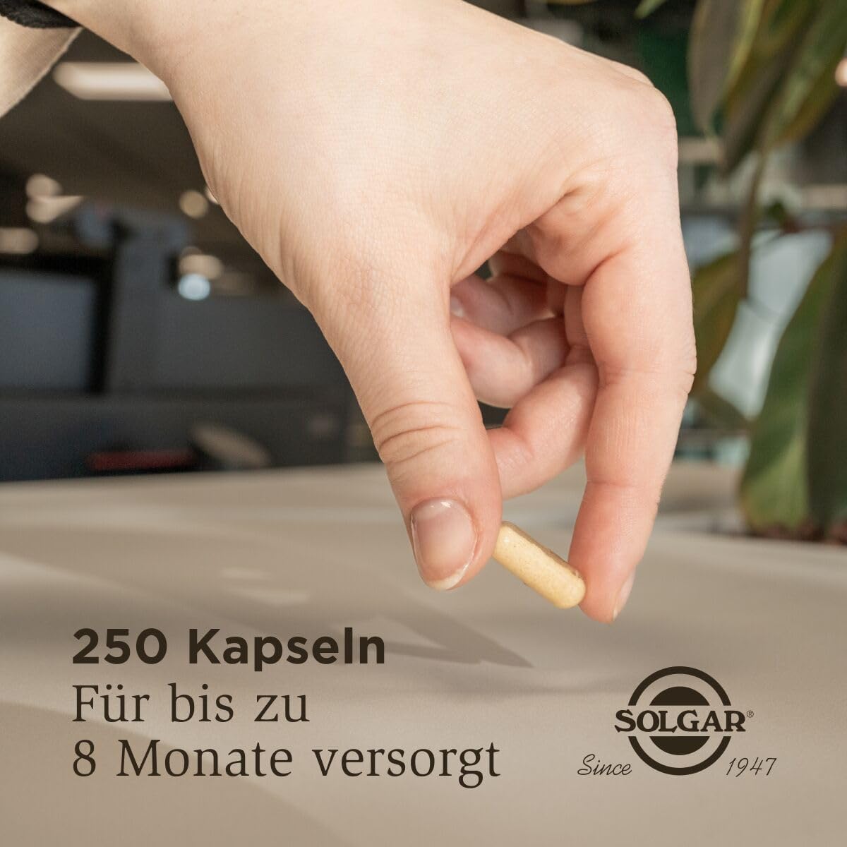 SOLGAR Ester-C Plus (500 mg) | Vitamin-C-Komplex mit patentiertem Ester-C, Zitrus-Bioflavonoiden, Acerola-Extrakt, Hagebuttenpulver und Rutin | 250 vegane Kapseln – Bild 5