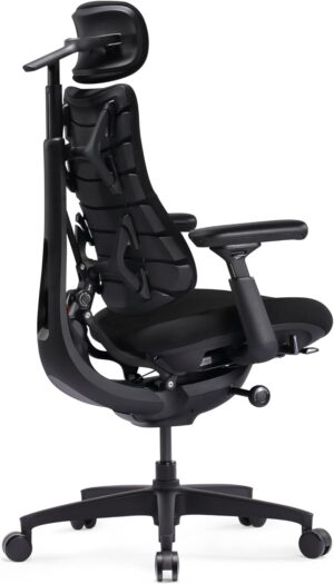 LiberNovo SE Ergonomischer Bürostu...