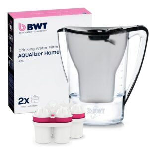 BWT AQUAlizer Home Wasserfilter, Sc...