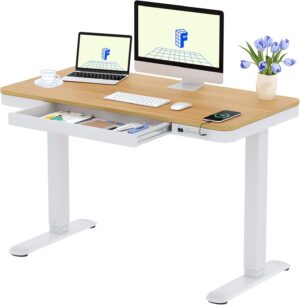 FLEXISPOT Q3 Höhenverstellbarer Sc...