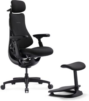 LiberNovo SE Ergonomischer Bürostu...