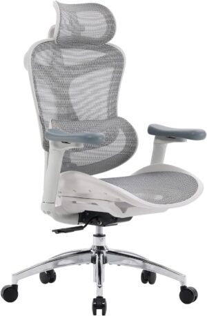 SIHOO Doro C300 Ergonomischer Büro...