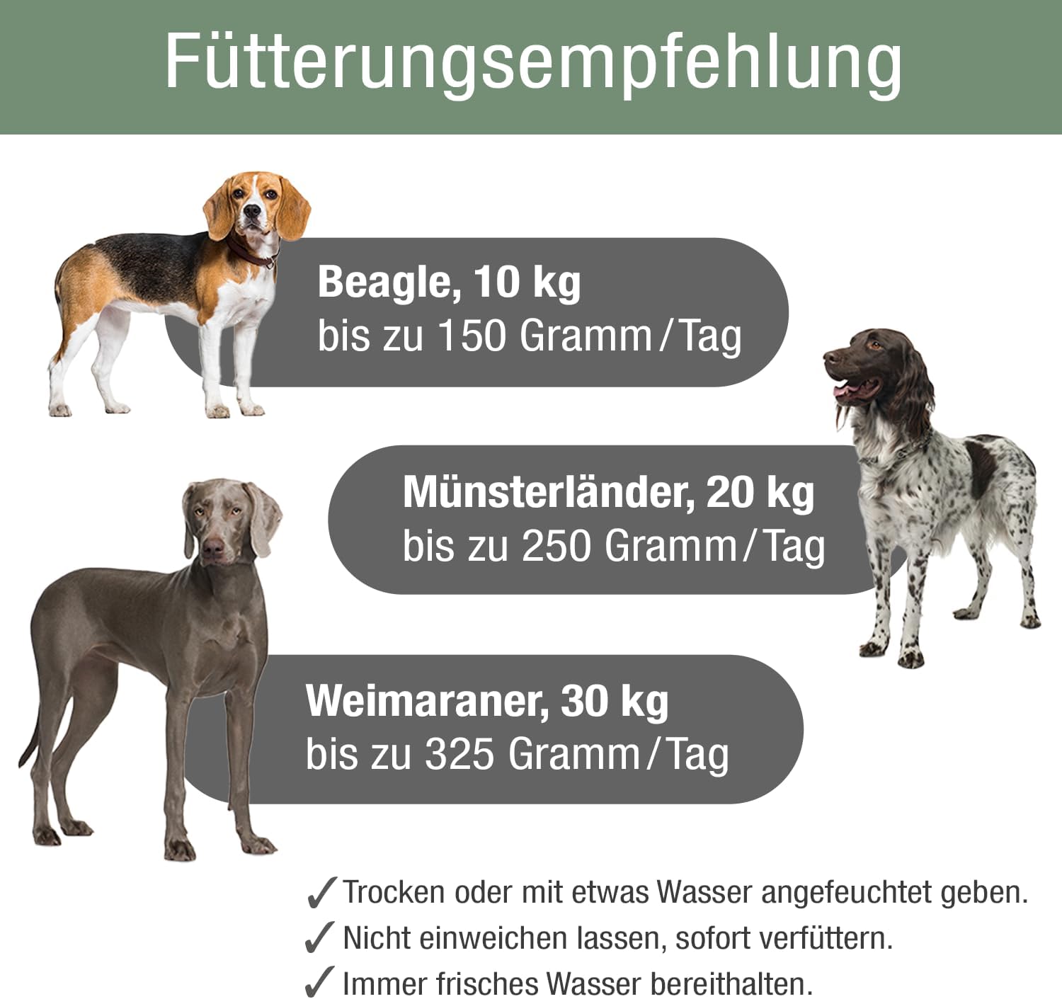 Platinum Adult Chciekn (5 kg) – Bild 6