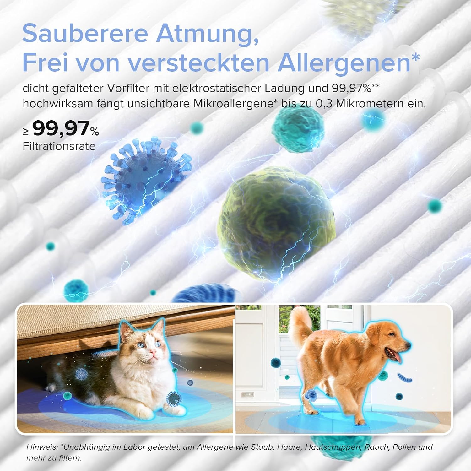 Levoit Vital 100S HEPA-Luftreiniger für Allergiker, CADR 243 m³/h, HEPA- und Aktivkohlefilter, leise, PM2.5-Sensor, App und Alexa, gegen Staub, Pollen, Rauch und Gerüche, bis zu 52 m², Mondweiß – Bild 13