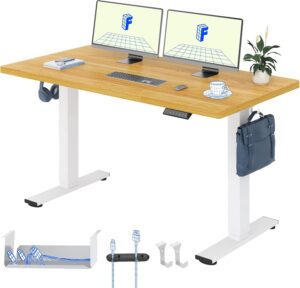 FLEXISPOT Basic höhenverstellbarer...