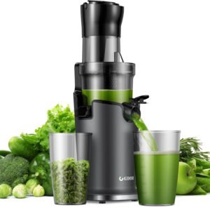 GDOR Slow Juicer Entsafter für Gem...