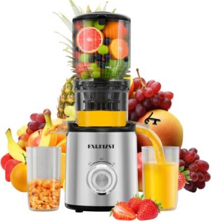Exreizst Slow Juicer MP-802P, Entsa...