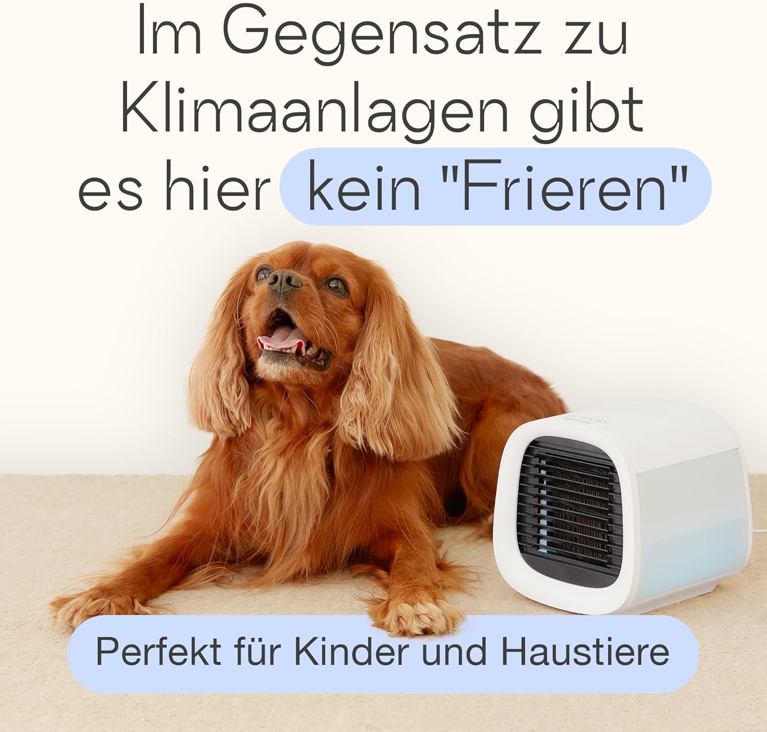 Evapolar evaCHILL Luftkühler und Luftbefeuchter, leise und tragbar, Kühler für Zuhause, Büro, Camping, Reisen, USB-Anschluss für einfachen Anschluss und integriertes LED-Nachtlicht, Grau – Bild 4