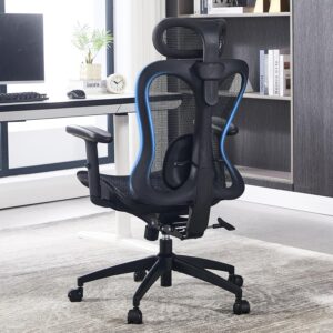LukkDys Ergonomischer Bürostuhl mi...