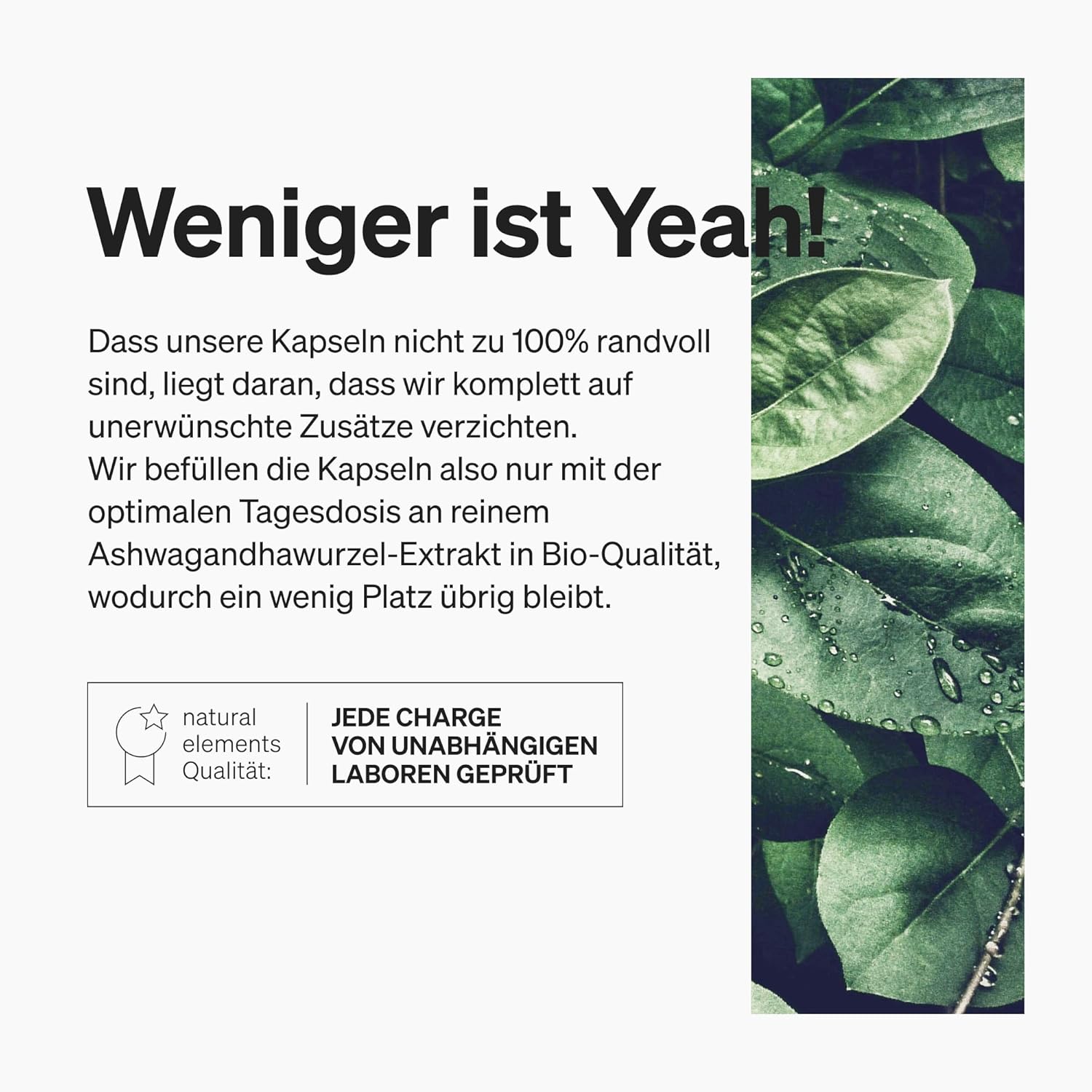 natural elements Bio-Ashwagandha – KSM-66 Premium-Rohstoff (180 Kapseln mit überdurchschnittlicher Reichweite) – 5 % Withanolid-Gehalt – Laborgeprüft, vegan und hochdosiert – Bild 4