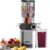 Anybear Entsafter 200 W Slow Juicer mit 110 mm Einfüllschacht für ganze Früchte/Gemüse, verbesserte Schnecke, Tritan-Material, BPA-frei, inklusive Saftrezepten (Silber)