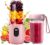 500 ml tragbarer Mixer, Smoothie-Maker mit Reisedeckel, Standmixer, Mixer, elektrischer Mini-Mixer für jede Art von Shake und Smoothie, zerkleinert Eis und Obst
