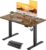 JUMMICO Höhenverstellbarer elektrischer Schreibtisch 120 x 60 cm mit USB-Ladeanschluss, höhenverstellbar, ergonomischer Stehsitztisch, braun