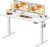 WALKINGDESK Höhenverstellbarer Schreibtisch, elektrisch 140 x 60 cm, Computertisch, Stehsitztisch, höhenverstellbar mit 4 Memory-Funktionen, Stehpult mit 2 Haken für Büro, Verbindungsplatte, weiß