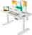 FEZIBO Höhenverstellbarer elektrischer Schreibtisch, 120 x 60 cm, Computer-Stehtisch mit Memory-Steuerung und Antikollisionstechnologie, mobiler Stehsitz-Schreibtisch, ergonomische weiße Oberfläche