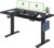 FLEXISPOT Basic höhenverstellbarer Schreibtisch 160 x 80 cm – einteilige Tischplatte – ergonomischer Sitz-Steh-Schreibtisch mit einfacher Bedienung (schwarz)