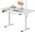 SANODESK höhenverstellbarer elektrischer Schreibtisch, höhenverstellbar 110 x 54 cm mit 70 kg Tragkraft, Antikollisionsschutz & leisem Betrieb, inklusive Aufbewahrungsbox und Kabelmanagement (weiß)