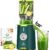 LINKChef Slow Juicer Elektrischer Entsafter | 200 W Kaltentsafter für ganze Früchte und Gemüse | 115 mm große Öffnung | BPA-freier Entsafter mit Blitzreinigung und einfacher Montage | Enthält Saftrezepte | Grün