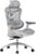 SIHOO Doro C300 Ergonomischer Bürostuhl mit ultraweichen 3D-Armlehnen, dynamischer Lordosenstütze für Heimbürostuhl, verstellbare Rückenlehne