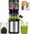 AMZCHEF Slow Juicer – 160 mm XXL-Einfüllschacht für ganze Früchte & Gemüse, 250 W Kaltpresse, 2 L Saftbehälter, Edelstahl-Design, leiser Betrieb, Silber