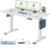 FLEXISPOT Basic höhenverstellbarer Schreibtisch 160 x 80 cm – einteilige Tischplatte – ergonomischer Sitz-Steh-Schreibtisch mit einfacher Bedienung (weiß)