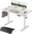 FEZIBO Höhenverstellbarer Schreibtisch mit USB-A- und USB-C-Ladeanschlüssen, 120 x 60 cm Schreibtisch, höhenverstellbar, elektrisch, ergonomischer Stehsitztisch für Home Office, Stehpult, Weiß