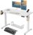 Höhenverstellbarer Schreibtisch, elektrischer Stehpult, Büro-Computertisch mit USB-C-Ladeanschluss und Memory-Funktion, Weiß Pro, 120 x 60 cm