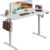DEVAISE Höhenverstellbarer Schreibtisch 140 x 70 cm, mit einteiliger Tischplatte und leisem Motor, Sitz-Steh-Schreibtisch mit Memory-Funktion für 3 Höhen, ergonomischer Computertisch fürs Büro, weiß