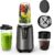 TECKNET 1000 W Smoothie Maker, Smoothie Mixer mit 2 BPA-freien Bechern (500 ml & 150 ml), Standmixer klein mit Kreuzklingen aus 304 Edelstahl, Smoothie Maker to Go für Milchshakes & Smoothie & Babynahrung