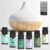 Aromadiffusor Duftöle, 500 ml, Aromatherapie-Diffusor mit Fernbedienung, mit ätherischen Ölen Set Top 6 x 10 ml