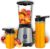 LEHMANN Standmixer 1200 W, Mixer Smoothie Maker To Go 1 L, Lieferung mit 2 Smoothie-Flaschen – 570 ml und 400 ml, leicht zu reinigen, 4-Klingen-System, Mini-Mixer für Säfte, Shake und Protein-Shake