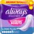 Always Discreet Long Plus Inkontinenzeinlagen, 64 Einlagen (4 x 16 Stück), Monatspackung, diskreter Schutz & hohe Saugfähigkeit, schließt Gerüche und Flüssigkeiten sofort ein (Verpackung kann variieren)