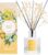 Airkeep Raumduft Coconut Vanilla – Schilfrohr-Diffusor mit 8 Duftstäbchen, langanhaltender Lufterfrischer für Badezimmer, Schlafzimmer & Wohnzimmer, stilvolle Heimdekoration, 100 ml
