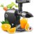 Vandenberg Slow Juicer, leiser Entsafter für Gemüse und Obst (150 W), Vitaminschonender elektrischer Entsafter mit Reverse-Funktion, inklusive Reinigungsbürste.